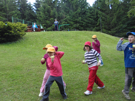 4PvP1B.1C.ctvr (164)